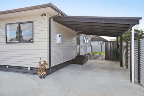 Photo of property in 710 Ngaio Street, Mahora, Hastings, 4120