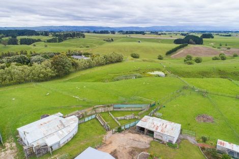 Photo of property in 828 Colyton Road, Bunnythorpe, Feilding, 4775