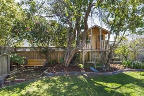 Photo of property in 32 Manson Street, Terrace End, Palmerston North, 4410