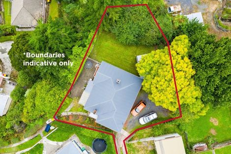 Photo of property in 58 College Street, Caversham, Dunedin, 9012