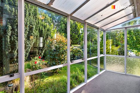 Photo of property in 42 Glenpark Avenue, Mornington, Dunedin, 9011