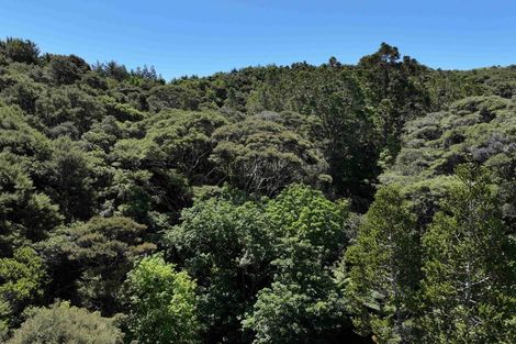 Photo of property in 113a Taemaro Road, Hihi, Mangonui, 0494