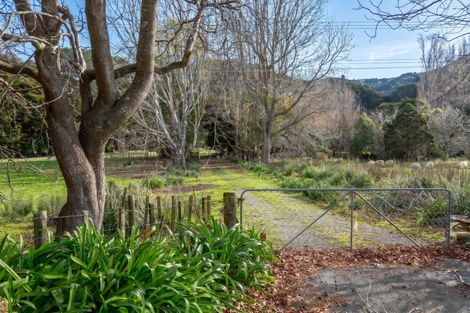 Photo of property in 427 Tinui Valley Road, Tinui Valley, Tinui, 5894