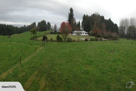 Photo of property in 29 Rakau Road, Reporoa, 3081