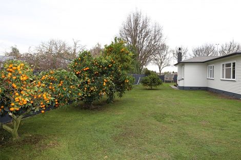 Photo of property in 710 Murdoch Road East, Akina, Hastings, 4122