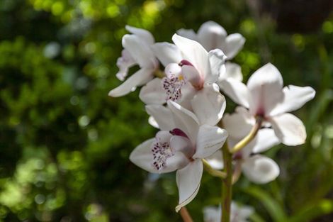 Photo of property in 15a Rosebank Grove, Waikanae, 5036