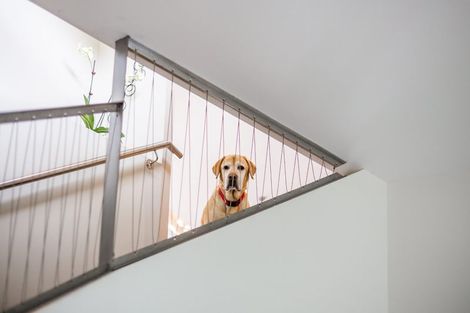 Photo of property in 4 Helm Place, Whitby, Porirua, 5024