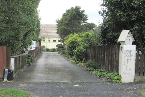 Photo of property in 12 Haultain Street, Fairfield, Hamilton, 3214