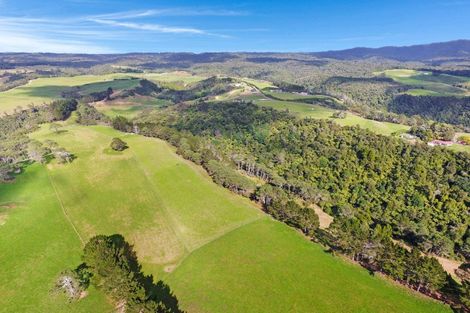 Photo of property in 687 Work Road, Whakamarama, Katikati, 3181