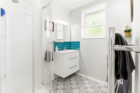 Photo of property in 20 Albert Street, Saint Clair, Dunedin, 9012