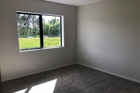 Photo of property in 106 Top Road, Dairy Flat, Albany, 0792