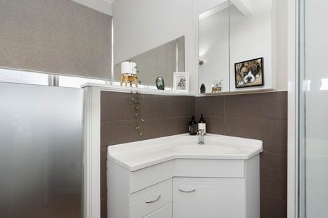 Photo of property in 11 Dyer Street, Whitiora, Hamilton, 3200