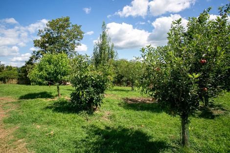 Photo of property in 41 Luck At Last Road, Maungatautari, Cambridge, 3494