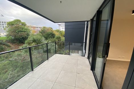 Photo of property in 509/8 Kingsland Terrace, Kingsland, Auckland, 1021