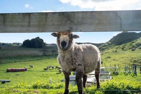 Photo of property in 1168 Oturoa Road, Hamurana, Rotorua, 3072