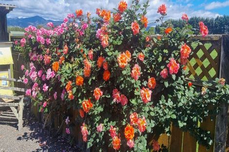 Photo of property in 3a Mcleavey Road, Ohau, Levin, 5570