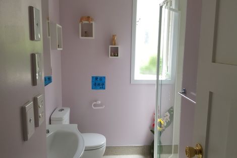 Photo of property in 117 North Road, North East Valley, Dunedin, 9010