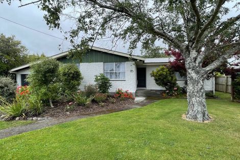 Photo of property in 17 Morris Road, Amberley, 7410