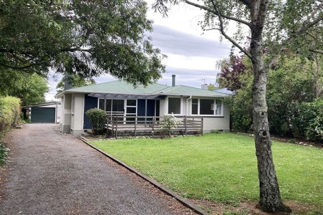 Photo of property in 28 Edith Street, Masterton, 5810