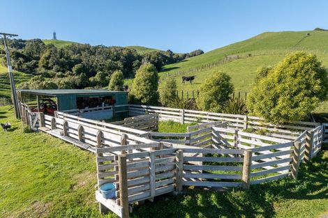 Photo of property in 90 Tirohanga Road, Maungatautari, Cambridge, 3495