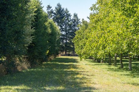 Photo of property in 120 Ulundi Road, Rakaia, 7784