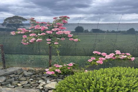 Photo of property in 5 Lanark Street, Lumsden, 9794