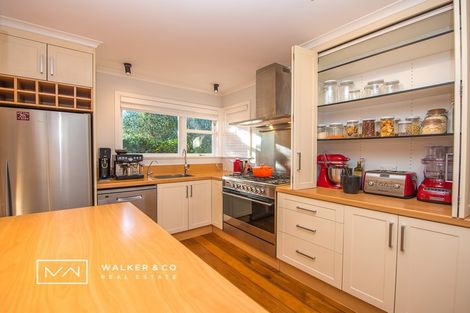 Photo of property in 61 Mcparland Street, Elderslea, Upper Hutt, 5018