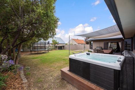 Photo of property in 38 Hillcrest Avenue, Witherlea, Blenheim, 7201