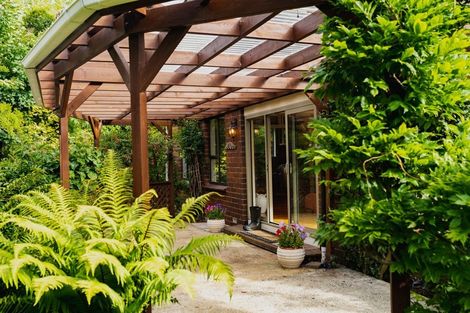 Photo of property in 191 Norwood Street, Normanby, Dunedin, 9010