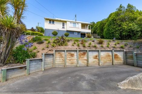 Photo of property in 113 Mulford Street, Concord, Dunedin, 9018
