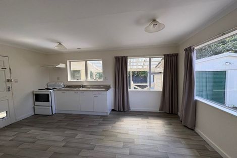 Photo of property in 90 Strathmore Avenue, Levin, 5510