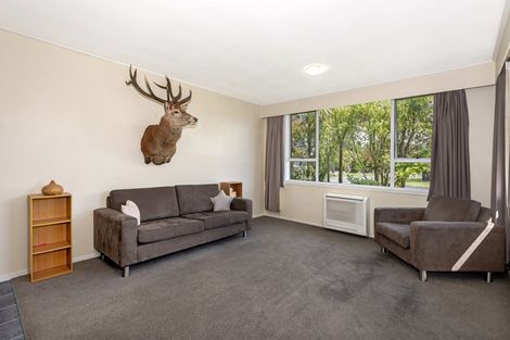 Photo of property in 40 Mary Street, Mangapapa, Gisborne, 4010