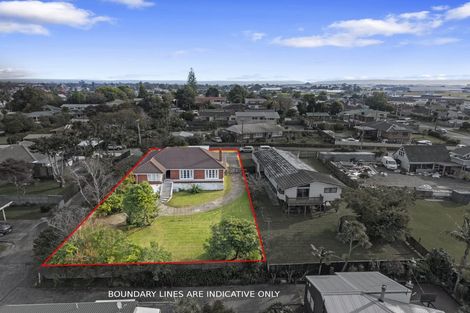Photo of property in 29 Orams Road, Hillpark, Auckland, 2102