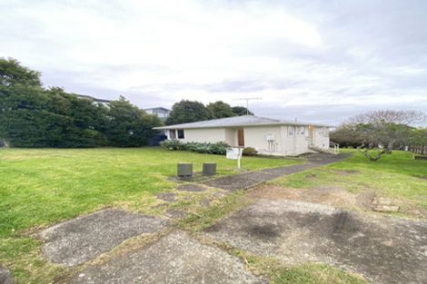Photo of property in 51 Potter Avenue, Northcote, Auckland, 0627