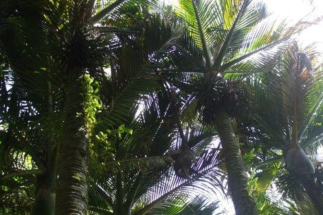 Photo of property in 61 Glasseye Drive, Little Wanganui, Karamea, 7893