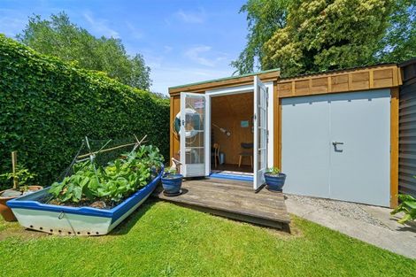 Photo of property in 170 Tiro Tiro Road, Levin, 5510