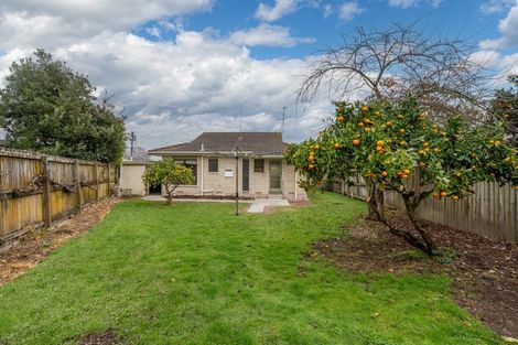 Photo of property in 52 Ascot Road, Chartwell, Hamilton, 3210