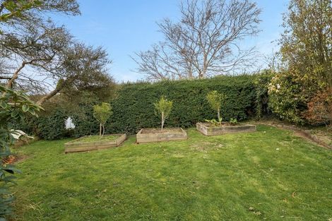 Photo of property in 12 Strathearn Avenue, Wakari, Dunedin, 9010