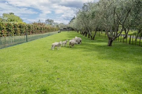 Photo of property in 43 Koputaroa Road, Levin, 5575