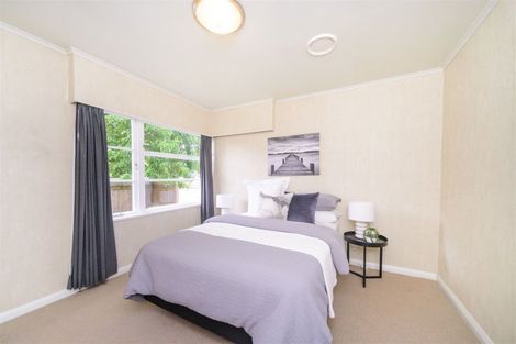 Photo of property in 19 Winchester Street, Awapuni, Palmerston North, 4412