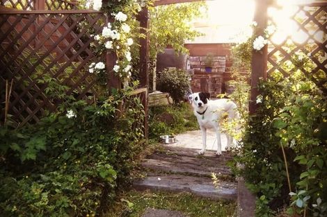 Photo of property in 2/57 Solar Road, Glen Eden, Auckland, 0602