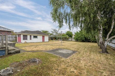 Photo of property in 19 Carlisle Street, Levin, 5510