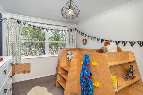 Photo of property in 17 Hobson Street, Levin, 5510