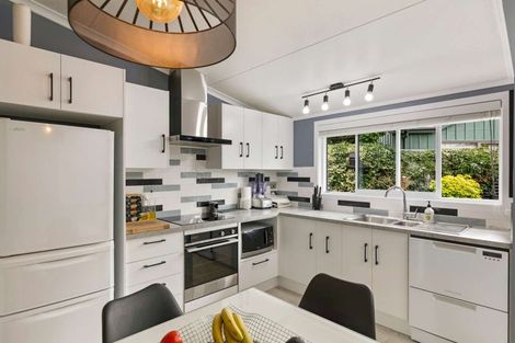 Photo of property in 11 Opawa Place, Terrace End, Palmerston North, 4410