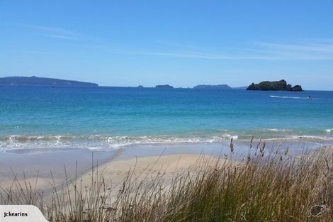 Photo of property in 24 Matapaua Bay Road, Opito Bay, Whitianga, 3592