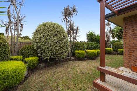 Photo of property in 45 Lisa Place, Brookfield, Tauranga, 3110