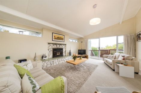 Photo of property in 88 Halcombe Road, Feilding, 4775