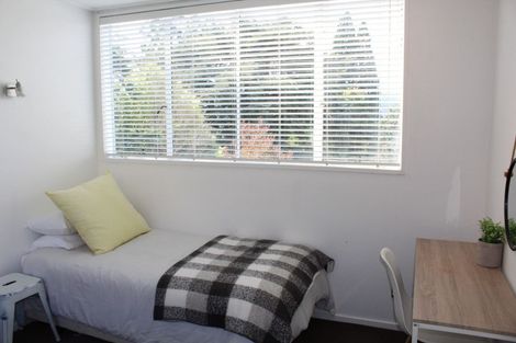 Photo of property in 379 Rattray Street, Dunedin Central, Dunedin, 9016