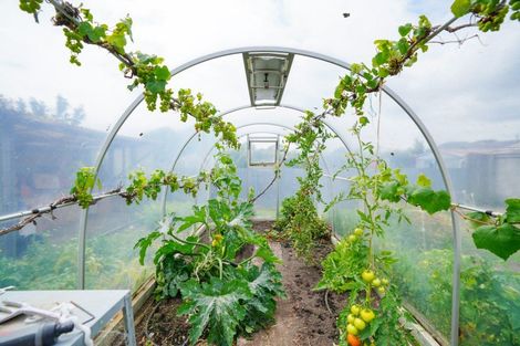 Photo of property in 181 Venus Street, Strathern, Invercargill, 9812