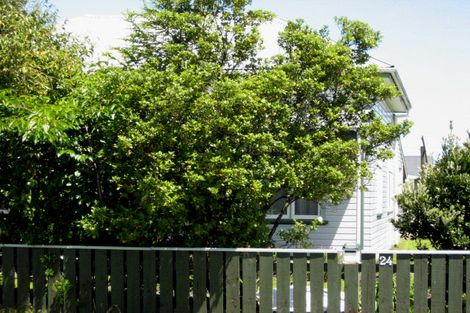 Photo of property in 24 Romilly Street, Westport, 7825